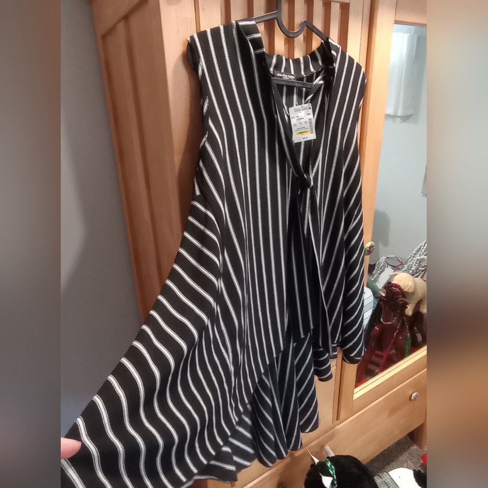 Black and White Striped Dress - Picture 3 of 6